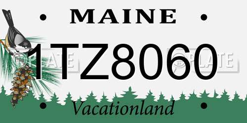 1TZ8060 Maine License Plate