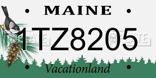 1TZ8205 Maine License Plate