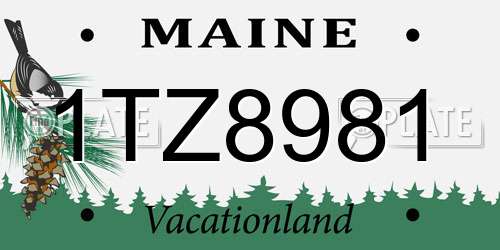 1TZ8981 Maine License Plate