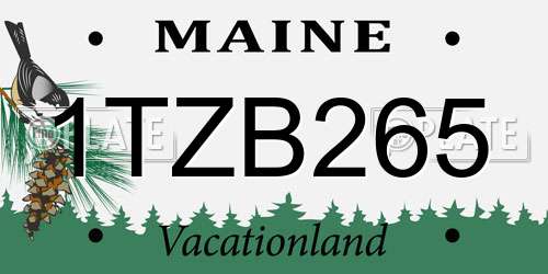 1TZB265 Maine License Plate