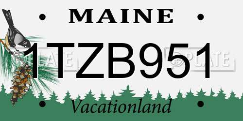 1TZB951 Maine License Plate