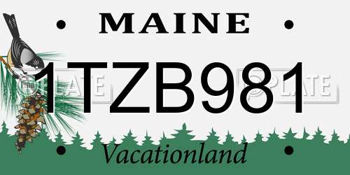 1TZB981 Maine License Plate