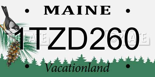 1TZD260 Maine License Plate