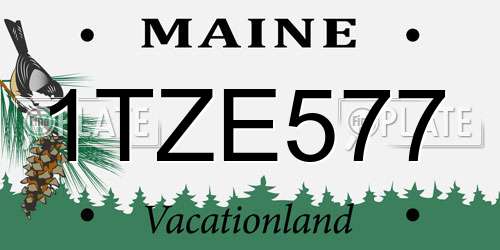 1TZE577 Maine License Plate