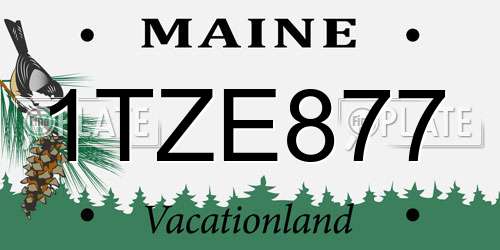1TZE877 Maine License Plate