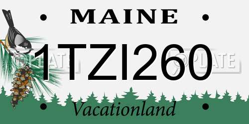 1TZI260 Maine License Plate