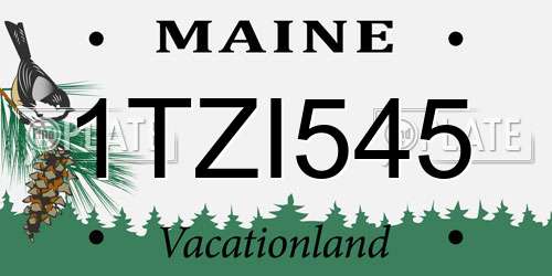 1TZI545 Maine License Plate