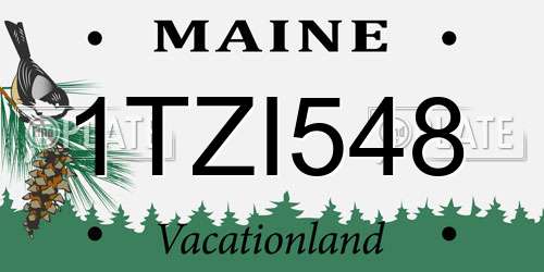 1TZI548 Maine License Plate