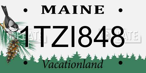 1TZI848 Maine License Plate