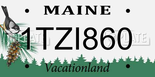 1TZI860 Maine License Plate