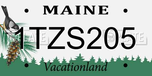 1TZS205 Maine License Plate