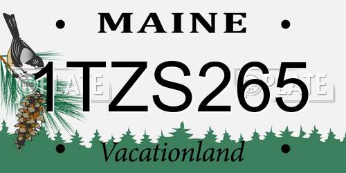 1TZS265 Maine License Plate