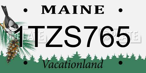 1TZS765 Maine License Plate