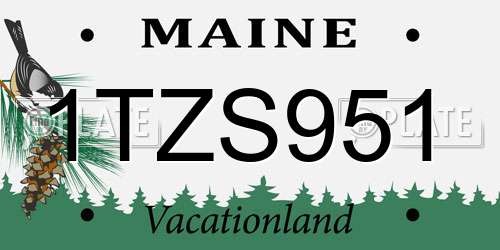1TZS951 Maine License Plate