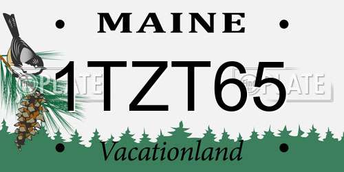 1TZT65 Maine License Plate