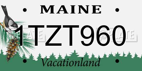 1TZT960 Maine License Plate