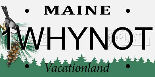 1WHYNOT Maine License Plate
