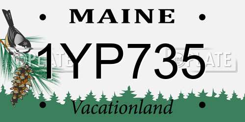 1YP735 Maine License Plate