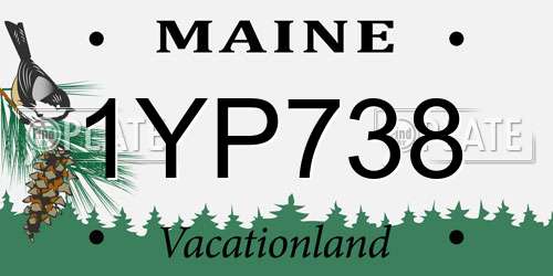 1YP738 Maine License Plate