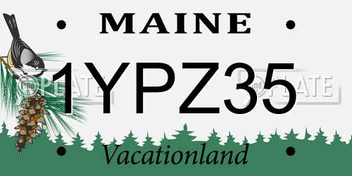 1YPZ35 Maine License Plate