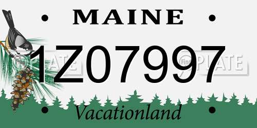 1Z07997 Maine License Plate
