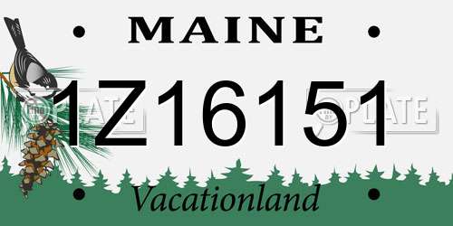 1Z16151 Maine License Plate