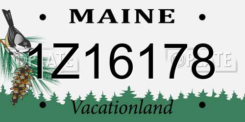 1Z16178 Maine License Plate
