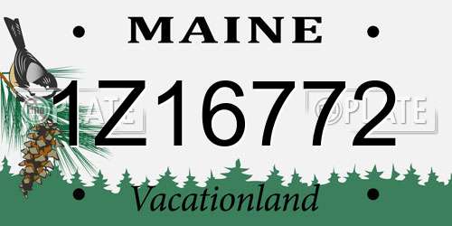 1Z16772 Maine License Plate