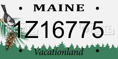 1Z16775 Maine License Plate