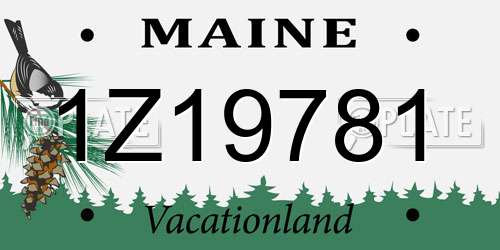 1Z19781 Maine License Plate