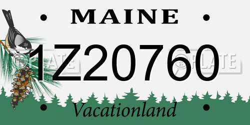 1Z20760 Maine License Plate