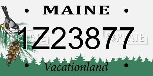 1Z23877 Maine License Plate