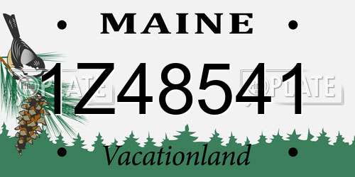 1Z48541 Maine License Plate