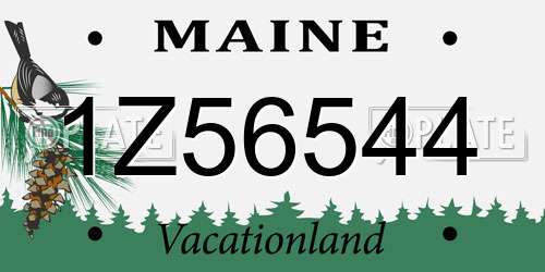 1Z56544 Maine License Plate