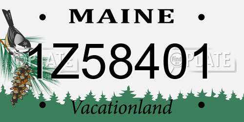 1Z58401 Maine License Plate