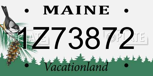 1Z73872 Maine License Plate