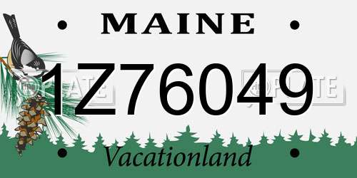 1Z76049 Maine License Plate
