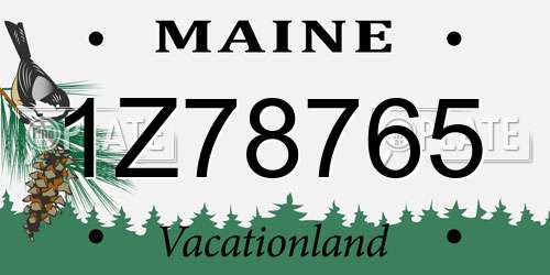 1Z78765 Maine License Plate