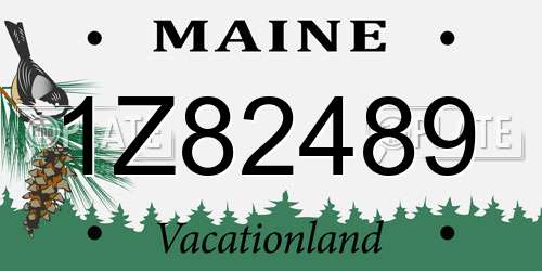 1Z82489 Maine License Plate