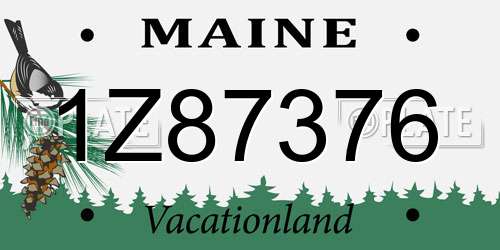 1Z87376 Maine License Plate