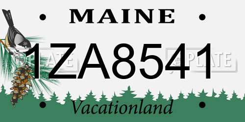 1ZA8541 Maine License Plate