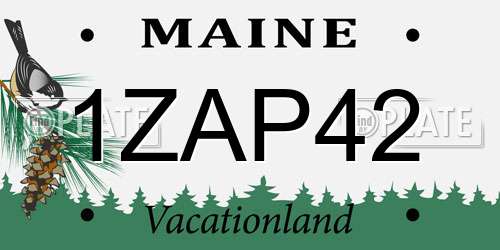 1ZAP42 Maine License Plate