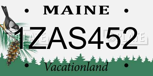 1ZAS452 Maine License Plate