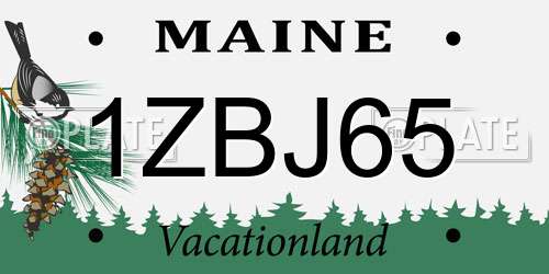 1ZBJ65 Maine License Plate