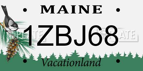 1ZBJ68 Maine License Plate
