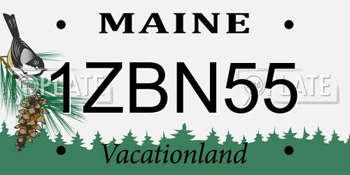 1ZBN55 Maine License Plate