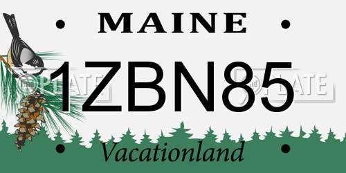 1ZBN85 Maine License Plate