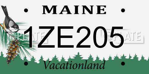 1ZE205 Maine License Plate