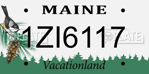 1ZI6117 Maine License Plate