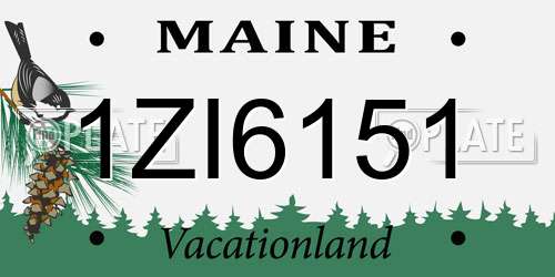 1ZI6151 Maine License Plate